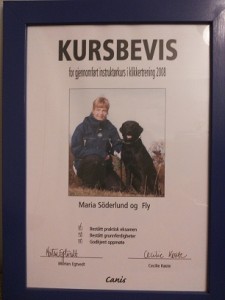 canisinstruktorsbevis